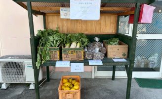 蔬菜市場　ふたたび開店！